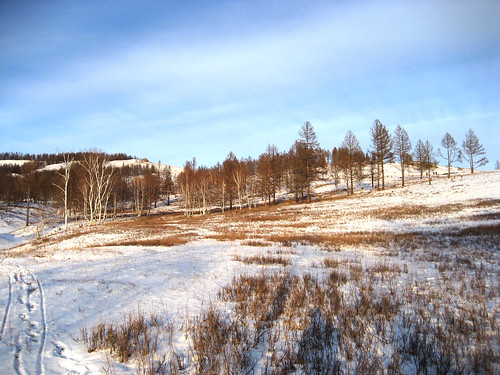 winter mongolia erdenet