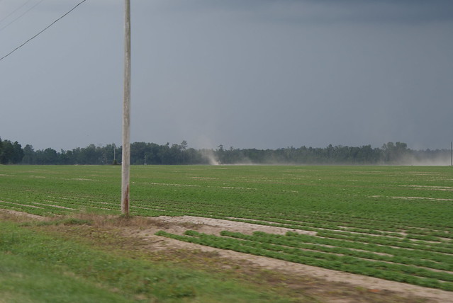 Approaching rain stirs up a dust devil