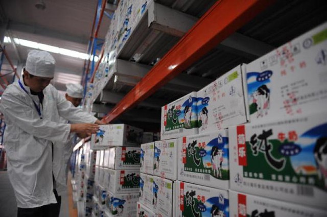 Top Three Brands of Liquid Milk Contaminated, Say Administrators