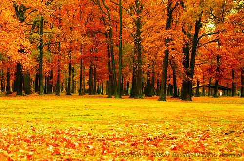 park city autumn autumnfoliage trees usa color tree fall nature beautiful leaves river landscape outdoors md san colorful scenic maryland pg fallfoliage foliage sp northamerica autunno outono attractions anacostia autumnscene eyecatching stockphotography riverdale midatlantic pgc myfather princegeorgescounty sany fall2006 creativeimages anacostiariverpark abigfave sawir marylandautumn aplusphoto princegeorgecounty sppicture platinumheartaward sawiro goldstaraward marylandlandscape editorialimages marylandphotographers autumnmaryland marylandtourism somaliphotographer marylandfall marylandphotos sanypictures marylandscenic sppictures marylandlandscapephotos picturesofmaryland marylandlandscapepictures beautifulmaryland outdoorsmaryland autumninmaryland marylandfoliage autumninmarylandfallcolor marylandattractions somaliphotographers fallfoliagearoundmarylanddcvirginia