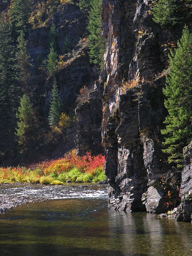 autumn fall nature river landscape scenic idaho stjoeriver shoshonecounty