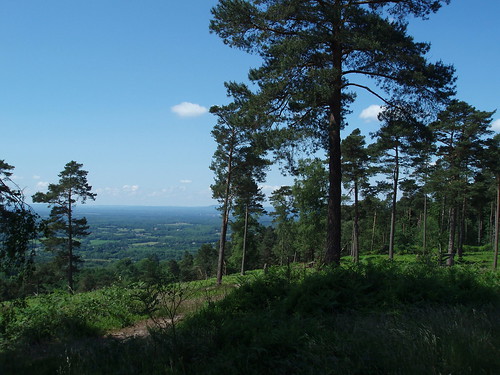 Leith hill looking south 