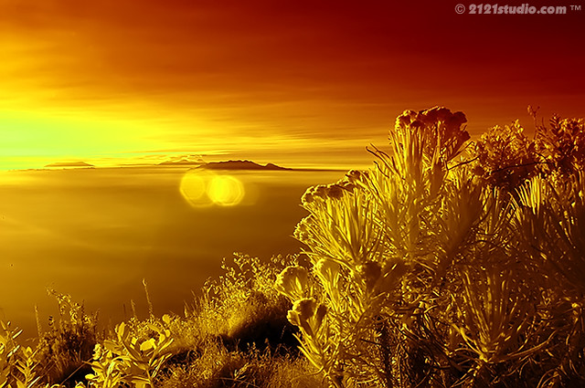 Sunrise @ Mount Lawu (Infrared)