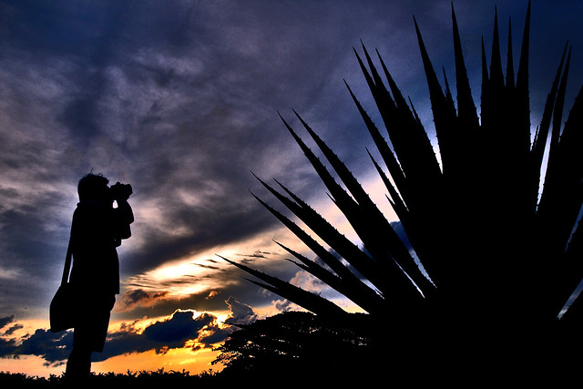 Kranji War Memorial - Sunset