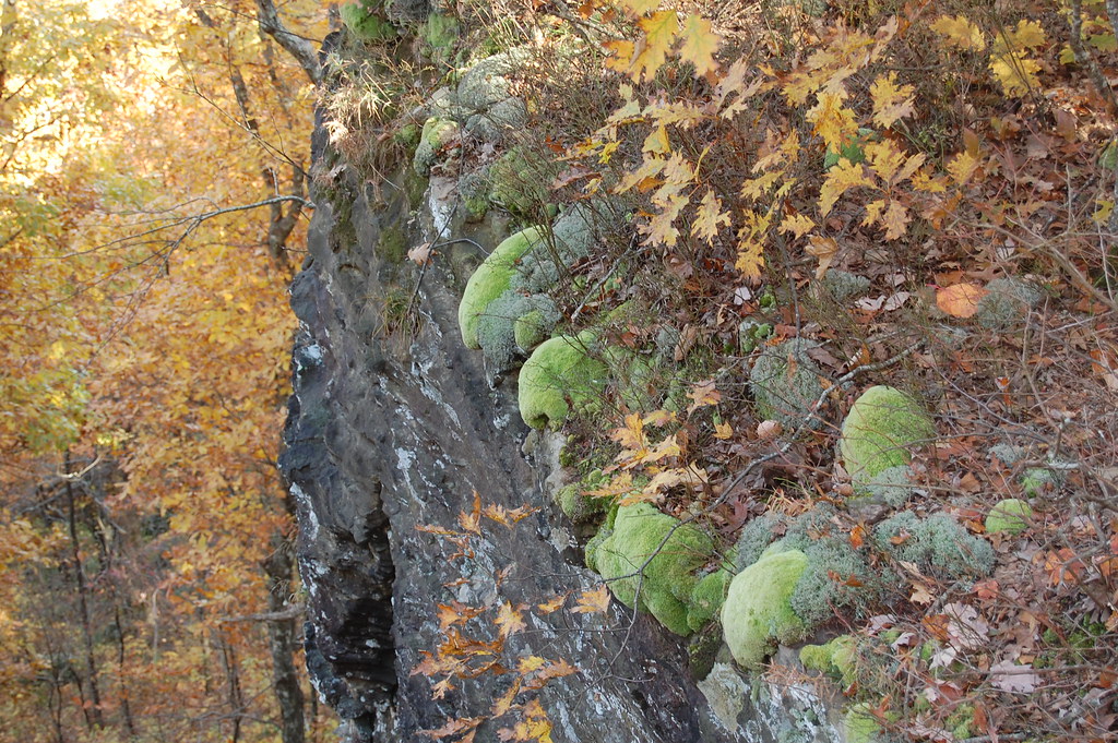 Ozark Highlands Trail