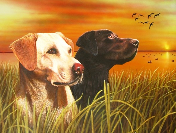 Painting of a Lab Dogs in Sunset Marsh