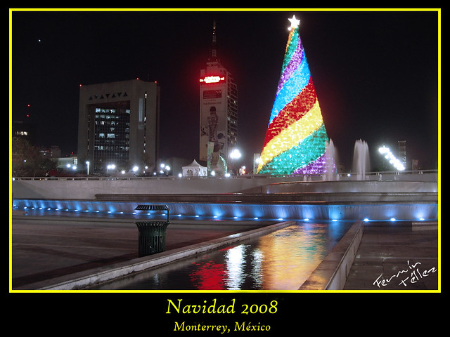 Pino Navideño 2008