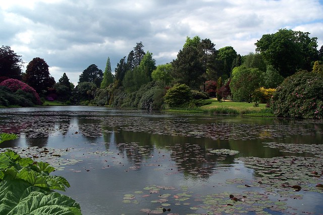 Sheffield Park Gardens