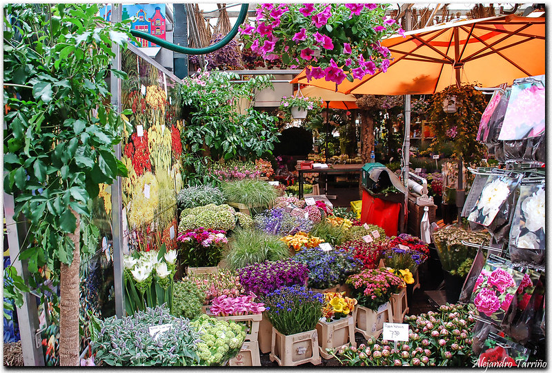 Mercado de flores en Amsterdam