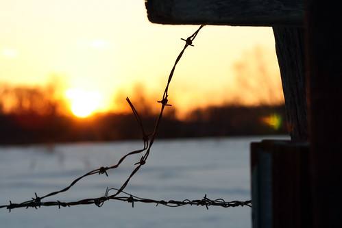 winter sunset sky sun snow tree set barn fence wire glare farm brian flare fisher barbed bfish brianfisher thisisbrianfisher