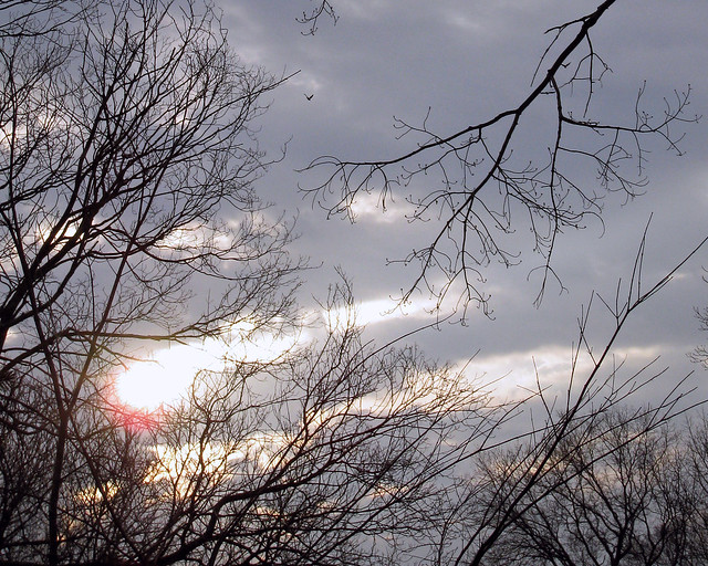 2008-03-28 morning skies 006