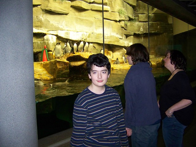 Chris with Penguins at the Shedd Aquarium
