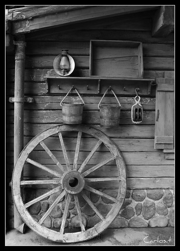 L'organisation | by donatelo2008