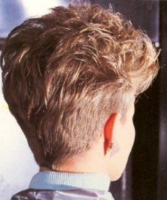 80s Hairstyle 193