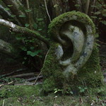 ear sculpture