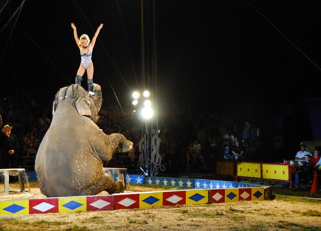 Cole_Bros_Circus_Woman_on_Elephant