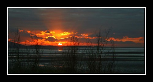 sunset beach silhouettes llanelli gower goldenhour naturesfinest blueribbonwinner anawesomeshot perfectsunsetssunrisesandskys theperfectphotographer