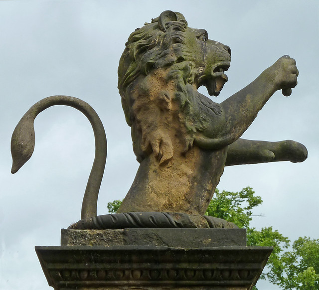 Lion, Gray's Court, York