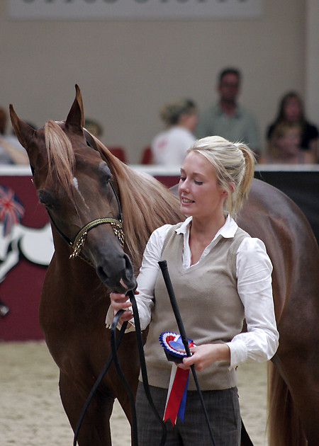TOWERLANDS ARAB HORSE SHOW 2008