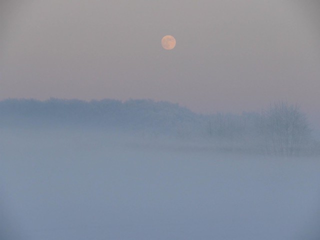 ice moon fog