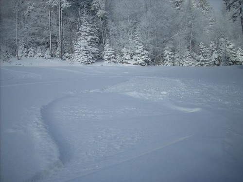 powder day showshoe 09 | by clonedronex