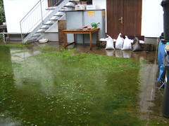 2010 Hochwasser