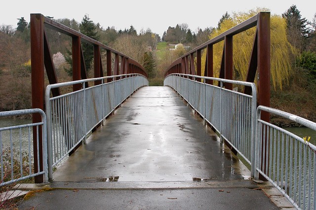 Green River Trail bridge in Tukwila... 20060315_6972