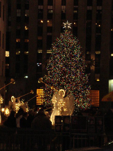 The tree in Rockefeller Center 2008