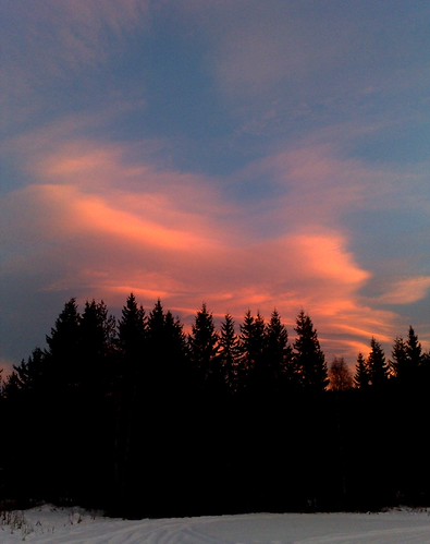 Evening light | by knutk007