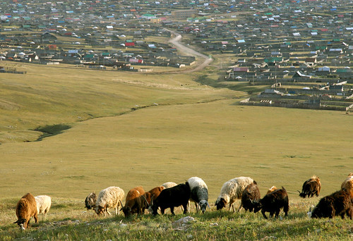 mongolia erdenet