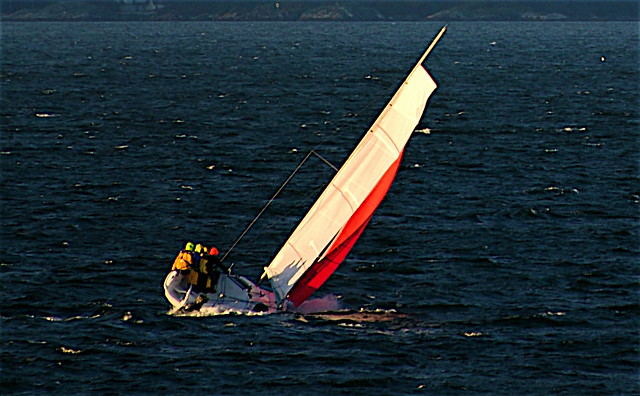 Red Sail In The Sunset