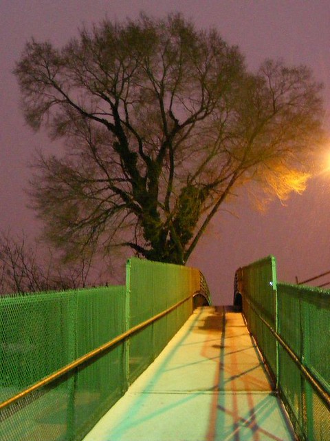 one tree bridge, snow covered