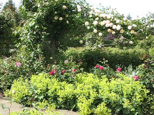 RHS Gardens at Rosemoor, Devon - Video No1
