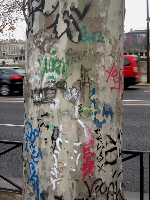 Graffiti tree, Paris