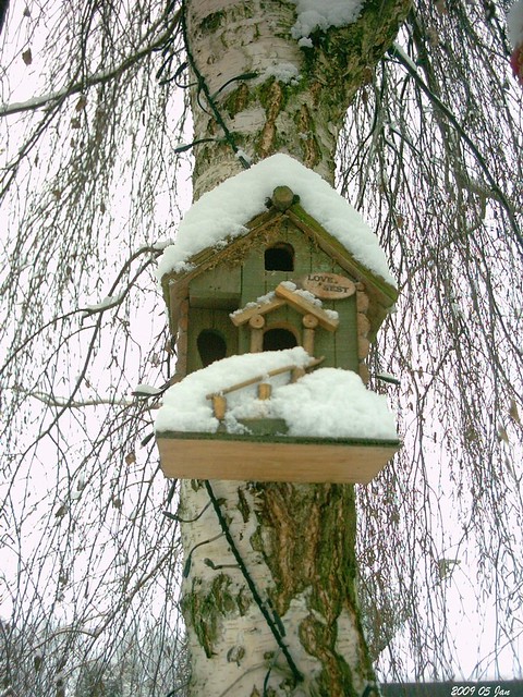 Snow covered Bird House