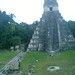 Tikal, ciudad Maya