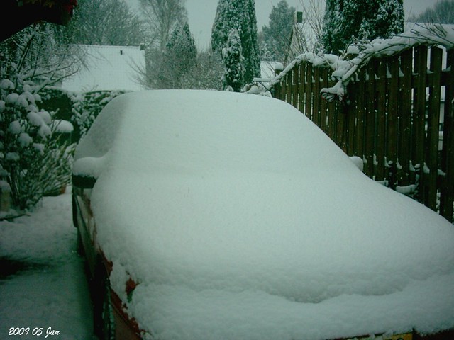 Snow 5 Jan 2009