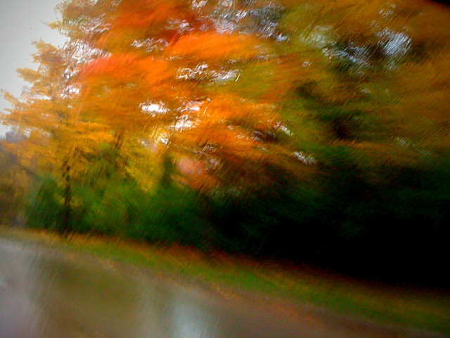 Streaks of autumn color