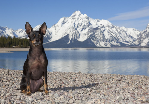 Lucy | by Michael Rozman Photography