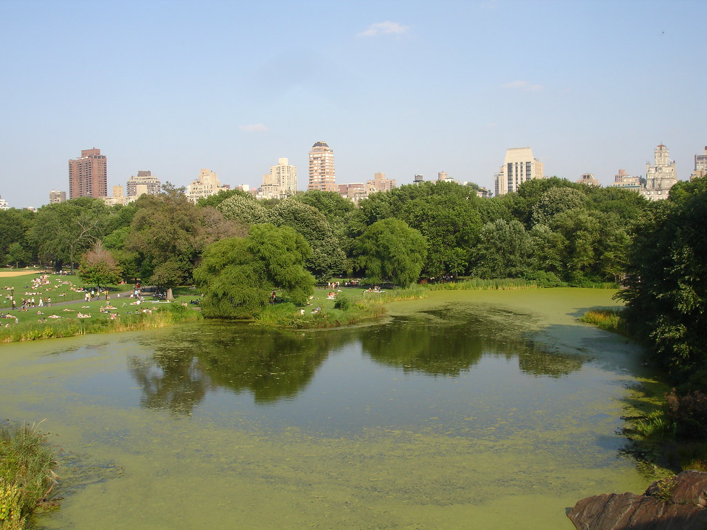 Central Park | View of Turtle Pound from Belvedere Castle. | D. Piris ...