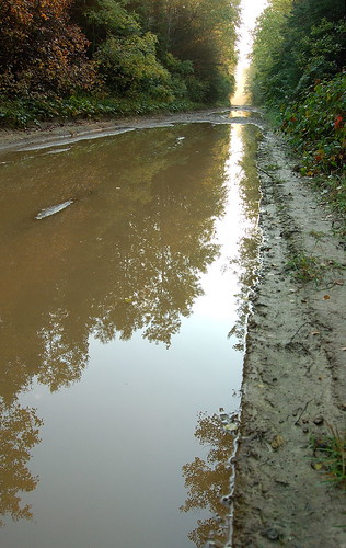 reflection puddle trail