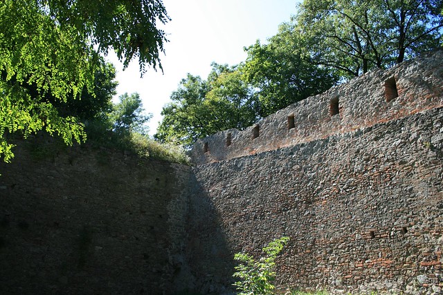 Burg Donaustauf 03