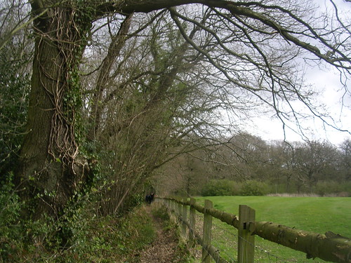 path Upper Warlingham to Hayes