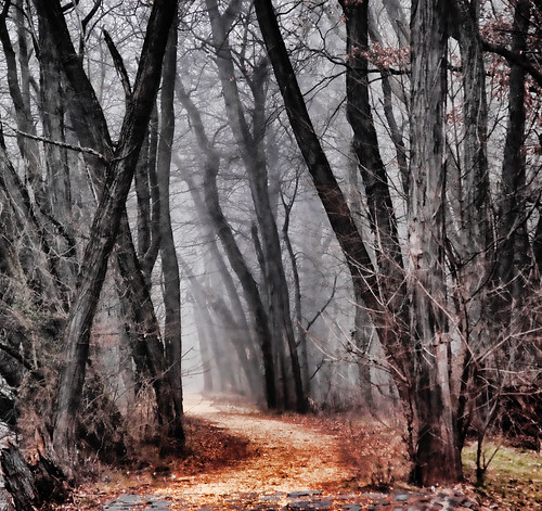 Dark Trail by Scott Hudson back after 3 years :)
