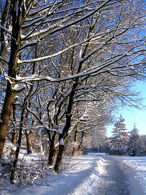 Osterode - verschneiter Park