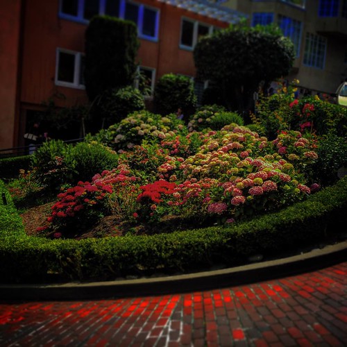 #lombardstreet #sanfrancisco #crooked #wanderlust #russianhill #iphonography #siliconvalley #sfo #california #westcoast #thebay #pacificcost #exploringtheworld #pier39 #AlwaysSF #aquaticcove #dusk #flowers #thegarden #sfbay #colors #ImagesSpeakLouder #gre | by shuba_sv