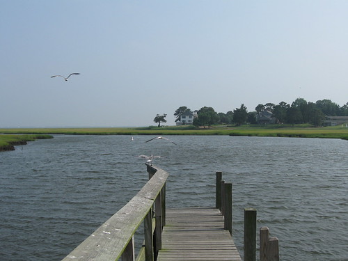 house dock seagull marsh absecon