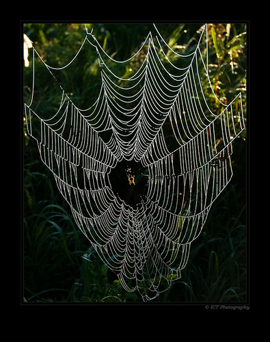 Web_1 | by ICT_photo