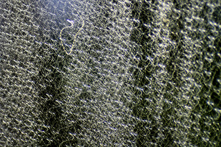 Veil | Really bad hand held shot of rain drops on the car wi… | Flickr