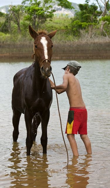 Young Cuban Bathing his Horse, Vinales, Cuba